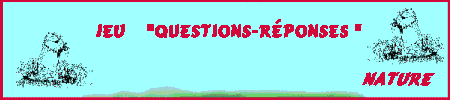 LES QUESTIONS-REPONSES NATURE